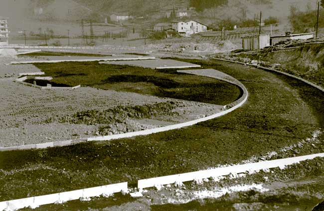 Majoria (-a)
